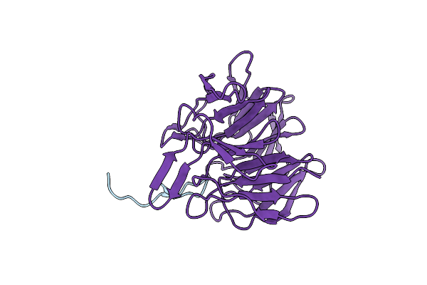 2FLU image