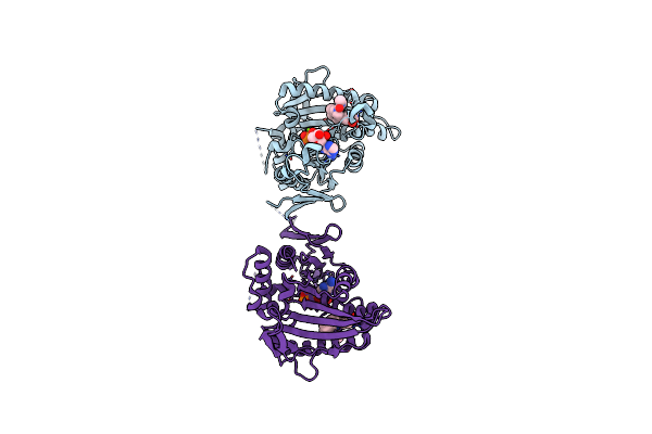 2FME image