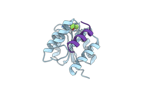 2FMK image