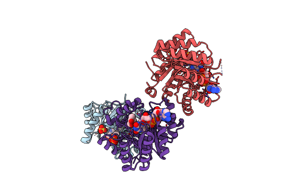 2FMO image