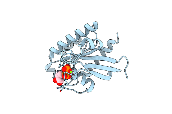 2FN4 image