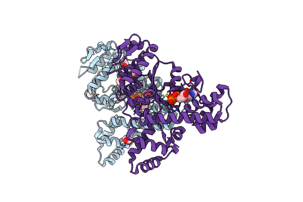 2FNA image