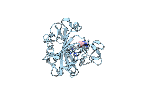 2FNN image