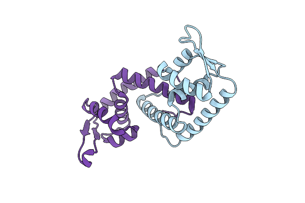 2FNP image