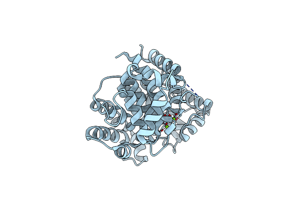 2FOZ image