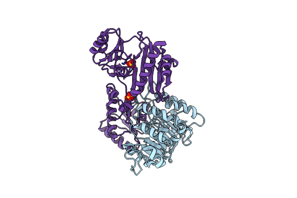 2FPI image