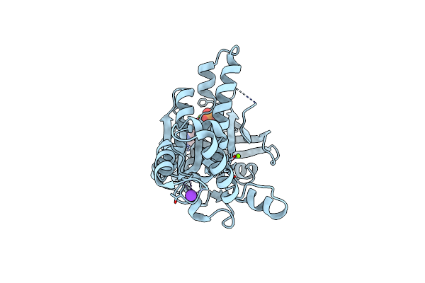 2FPK image