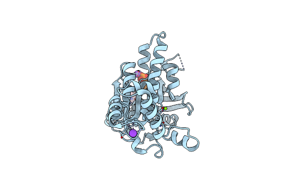 2FPM image