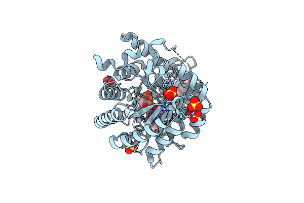 2FPT image