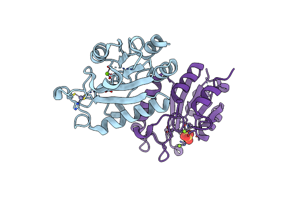 2FPX image