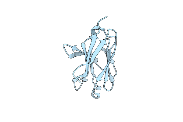 2FRG image