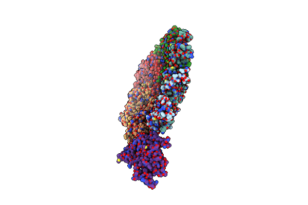 2FRP image