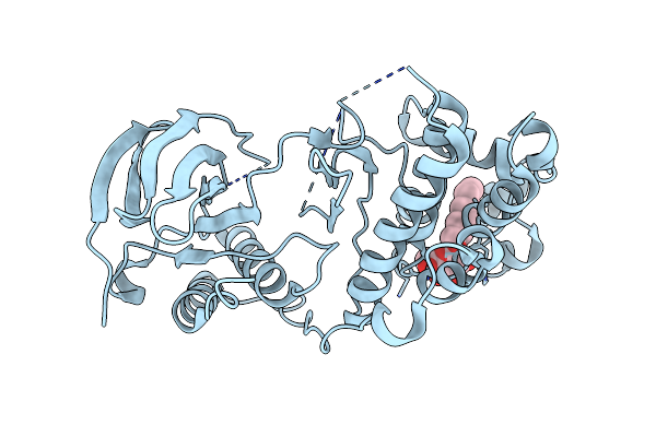 2FSL image
