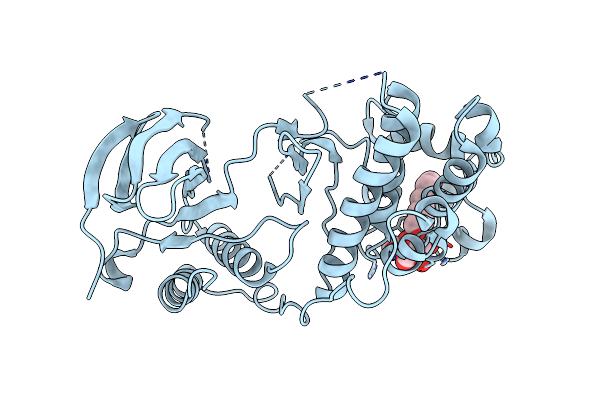 2FSM image