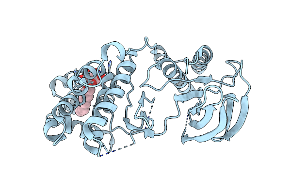 2FSO image