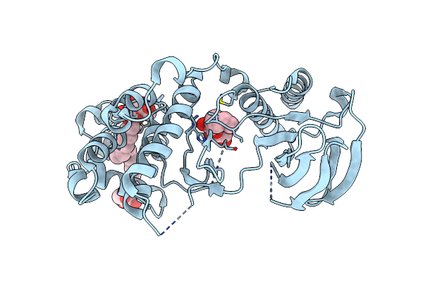 2FST image