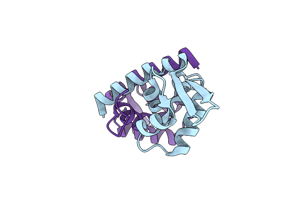 2FSW image