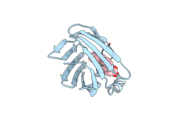 2FTB image