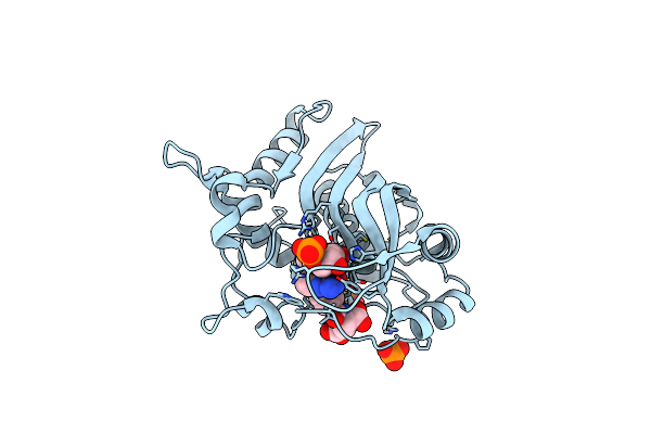 2FTO image