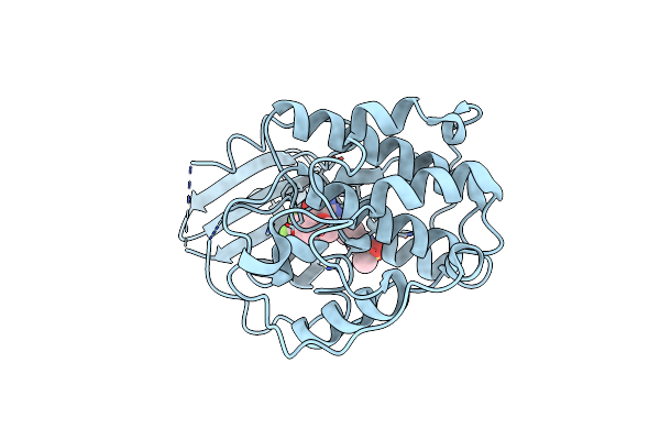 2FVD image