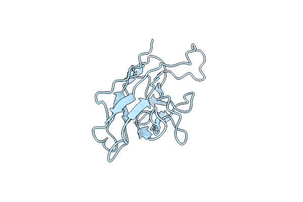 2FVN image
