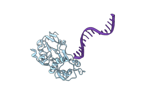 2FVP image