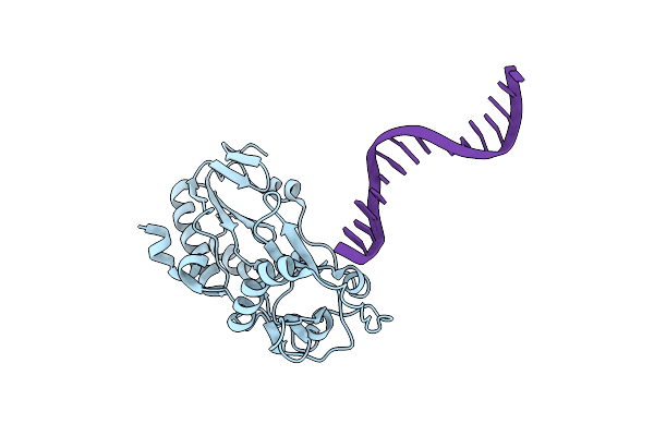 2FVS image