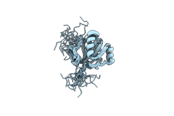 2FVT image