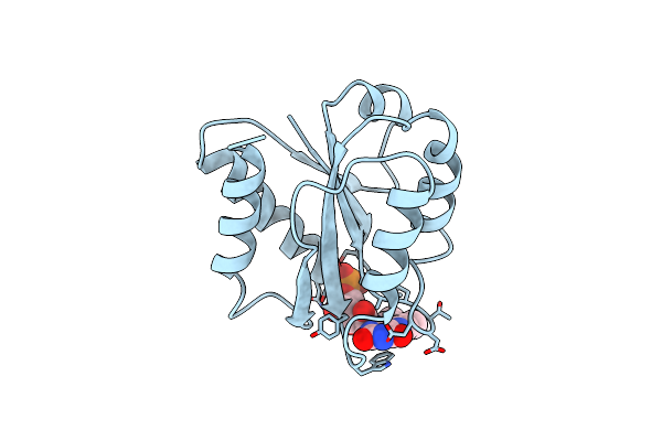 2FVX image