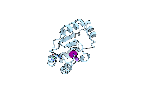 2FWE image