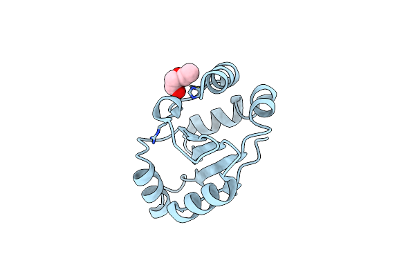 2FWH image