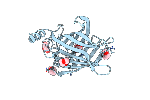 2FWV image