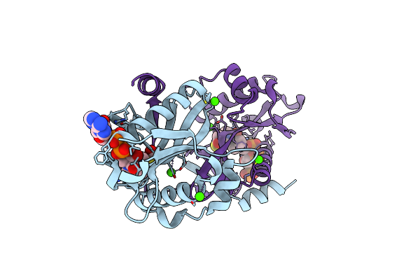 2FXF image