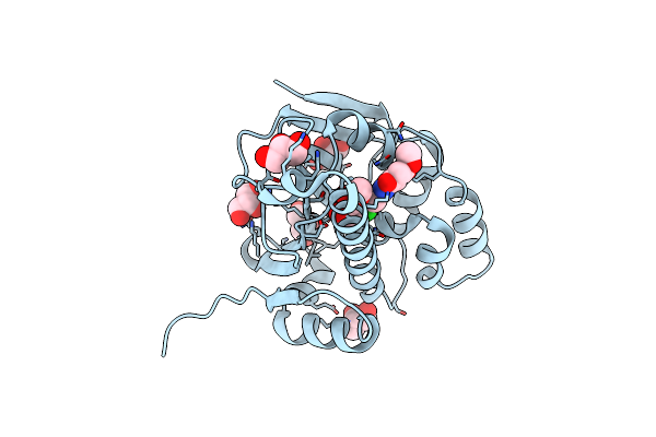 2FXS image