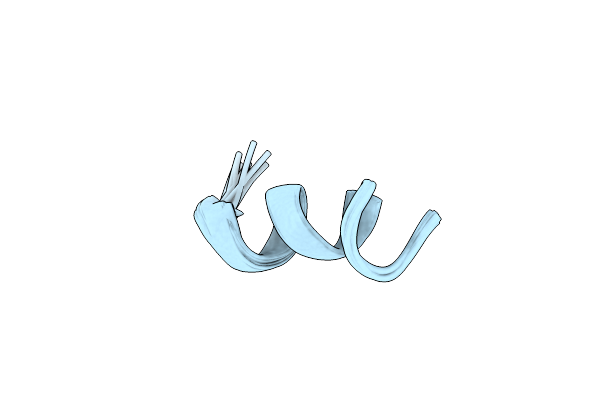 2FXZ image