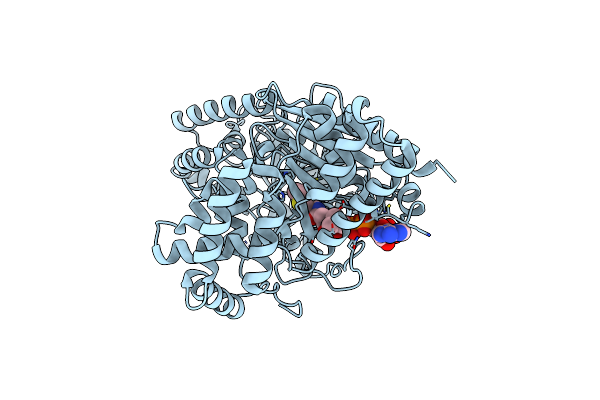 2FY5 image