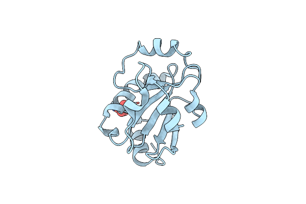 2FY6 image