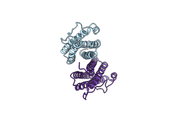 2FZF image