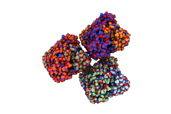 2G04 image