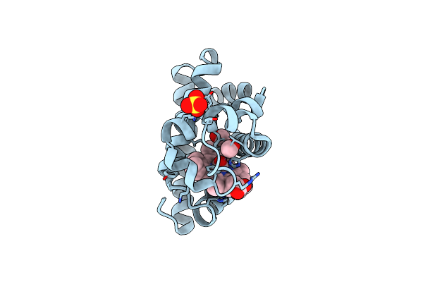 2G10 image