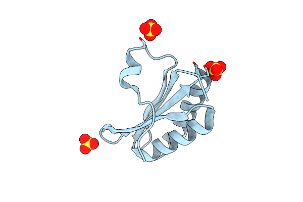 2G13 image
