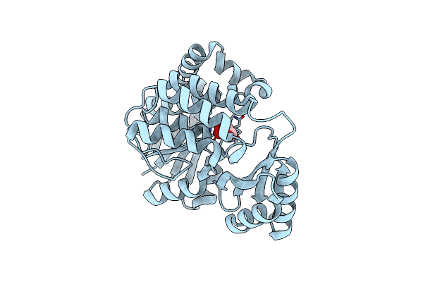 2G1H image
