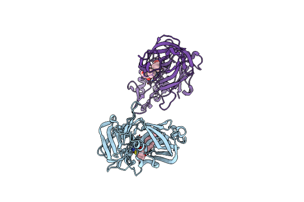 2G20 image
