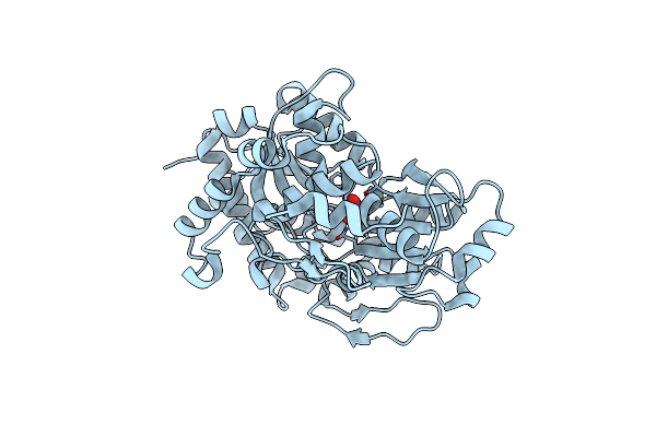 2G29 image