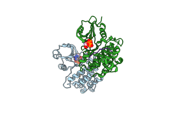 2G2I image