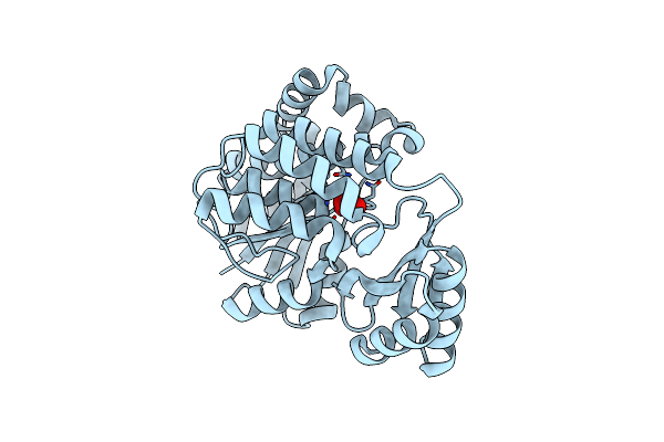 2G2O image