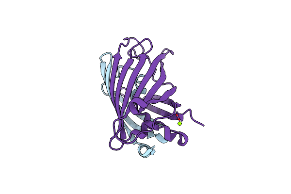 2G2S image