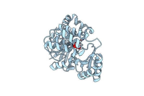 2G2Y image