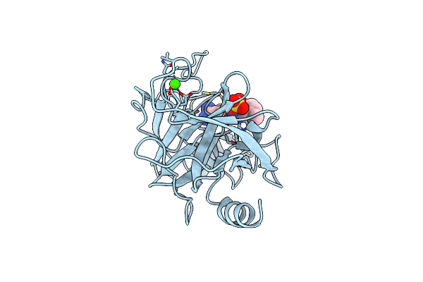 2G5N image