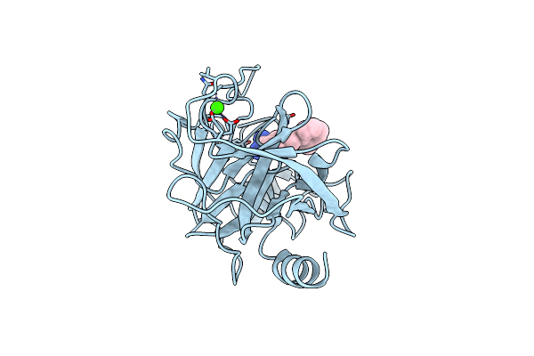 2G5V image